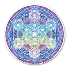WINDOW STICKER METATRON